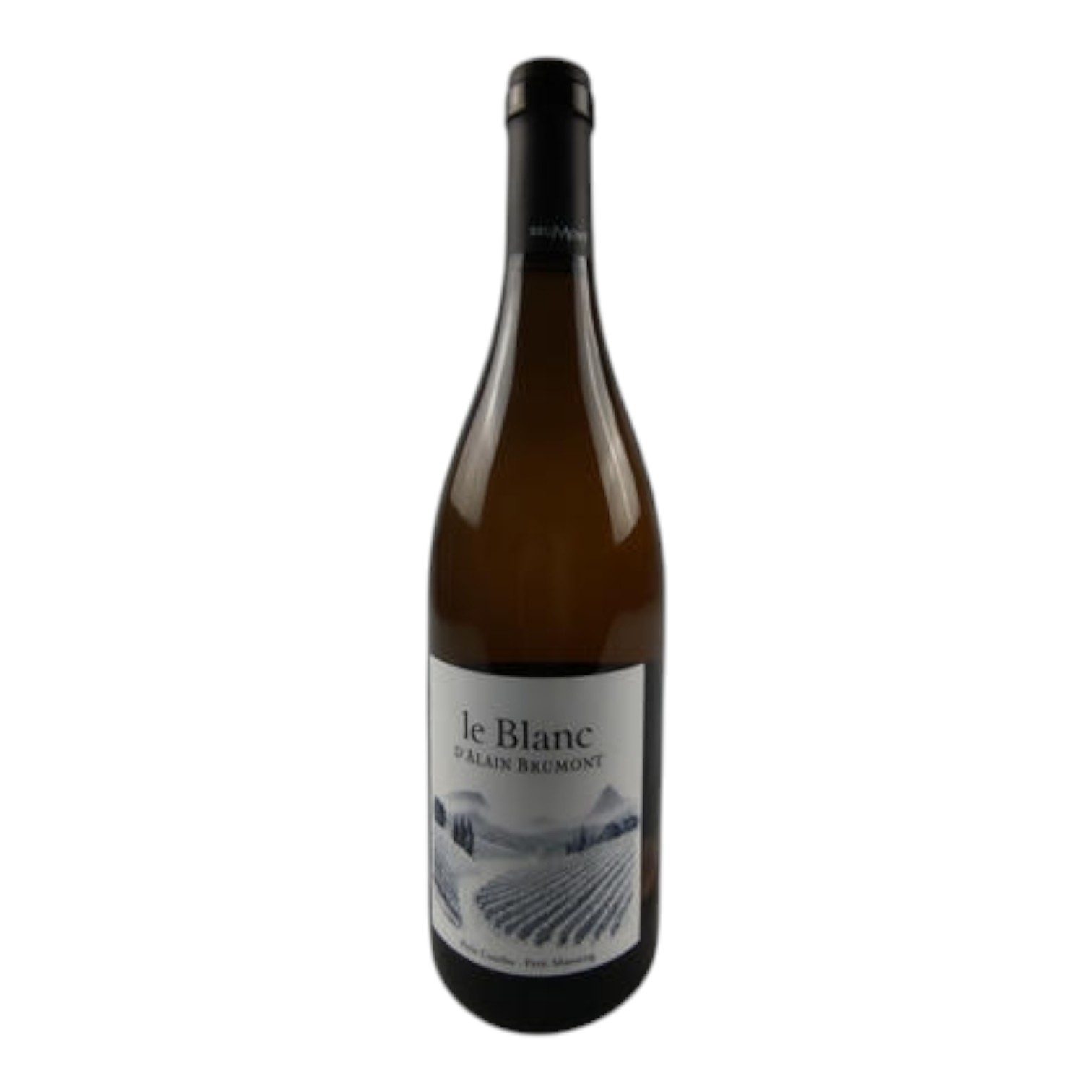 VIN0002495.jpg Le Blanc D Alain Brumont Pacherenc Du Vic Bilh 2023 Brumont 75 cl 12,5° – Image 1