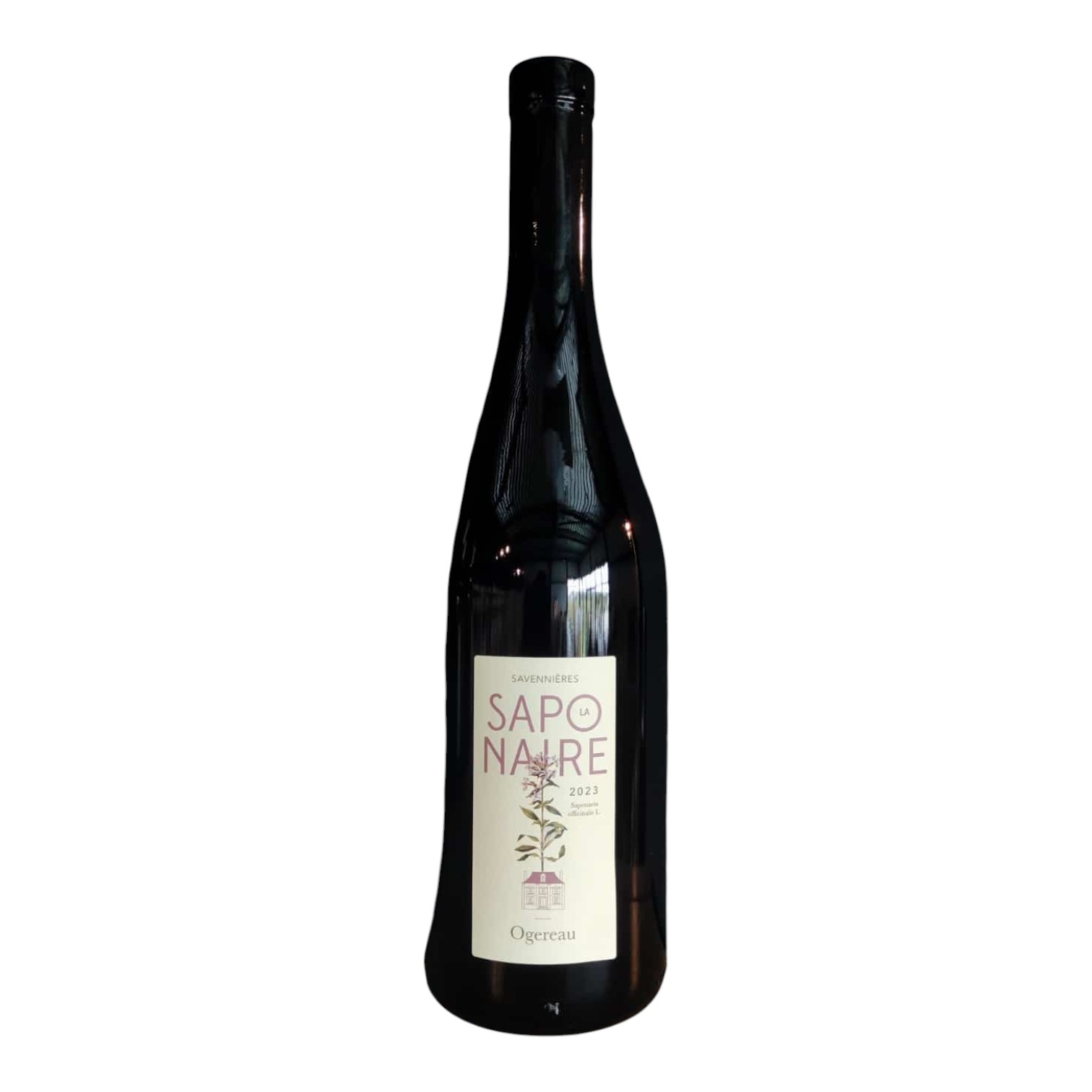 VIN0002653.jpg Savennieres La Saponaire 2023 Ogereau 75 cl 12,5° – Image 1